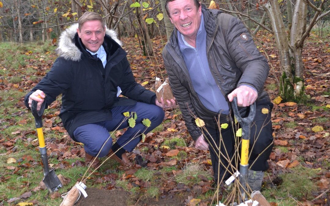 Lake District hotel group donates trees to guests